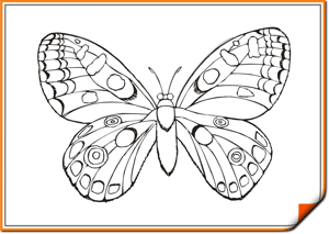 Раскраска «Бабочка»: оживи её!